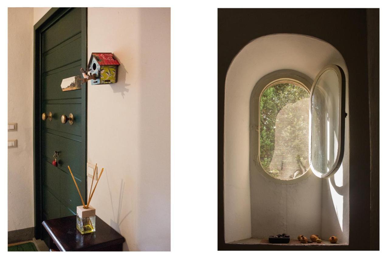 Apartmán La Finestra Sul Parco Lucca Exteriér fotografie