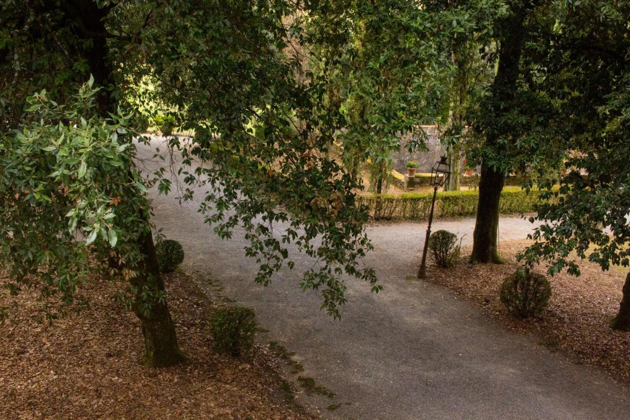 Apartmán La Finestra Sul Parco Lucca Exteriér fotografie